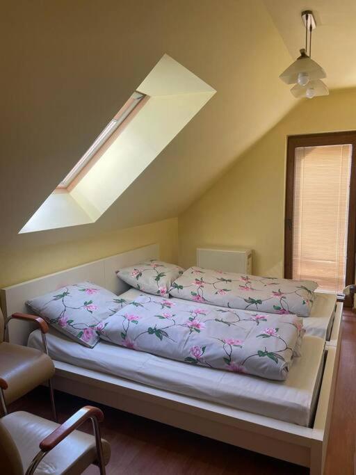 Sulicamp Kompleks Wypoczynkowy Sulistrowice エクステリア 写真